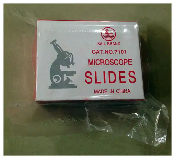 Glass Slides