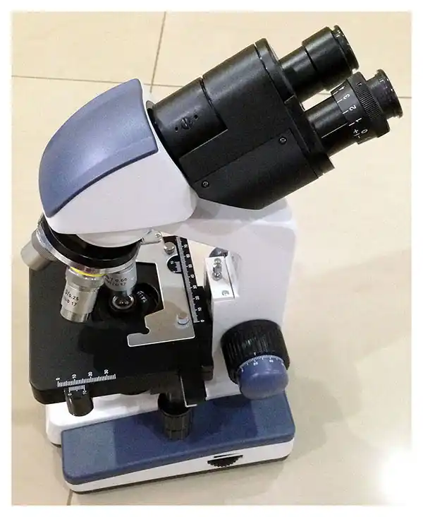 Microscope Closeup 1