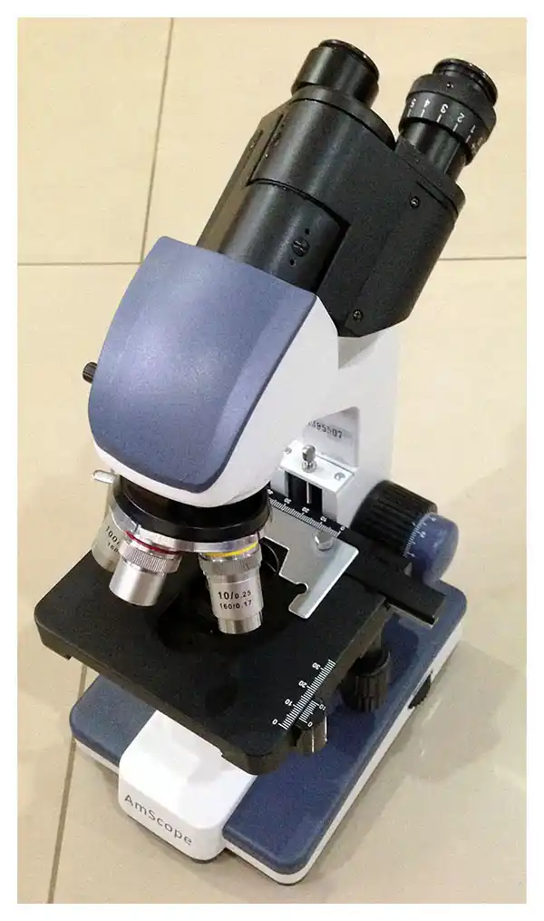 Microscope Closeup 2
