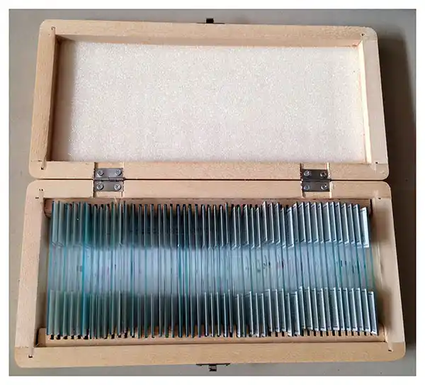 Prepared Slides Box Opened