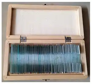 Prepared Slides Box Opened